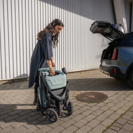 Thule Spring 2 Buggy