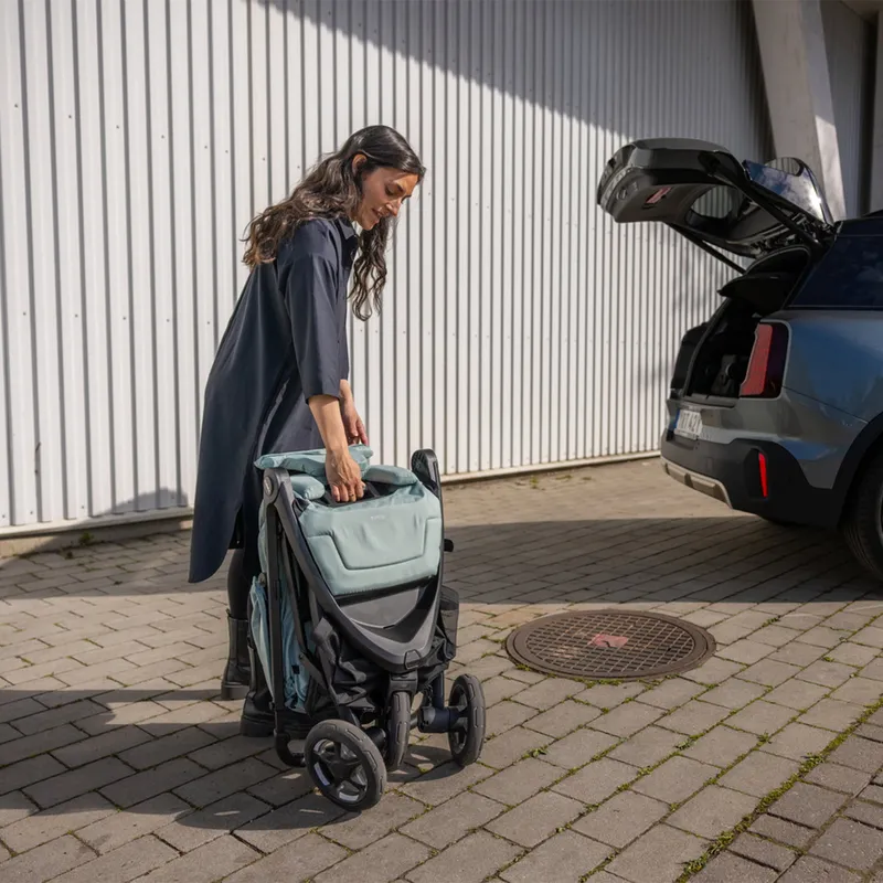 Thule Spring 2 Buggy