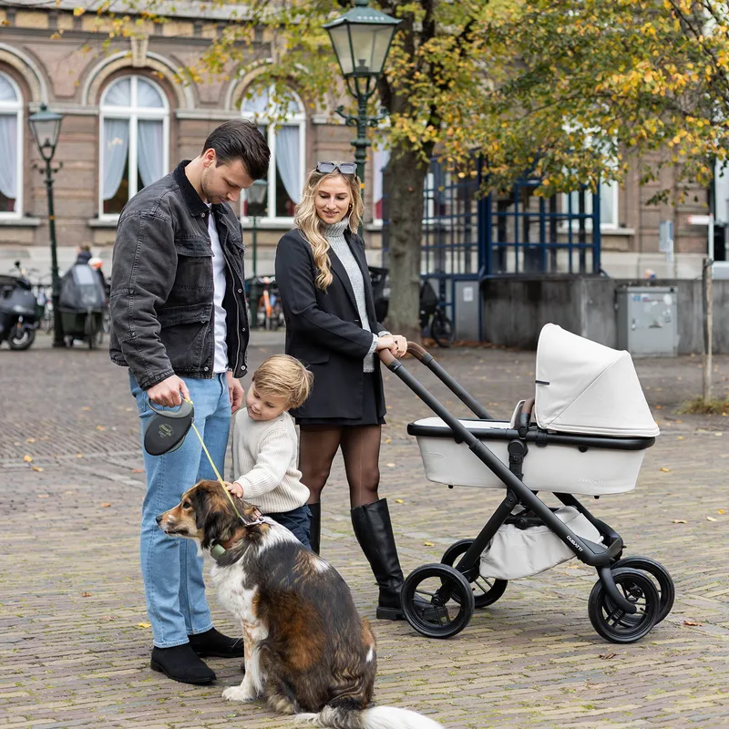 Dubatti One E6 Kinderwagen 2-in-1 - Mix & Match