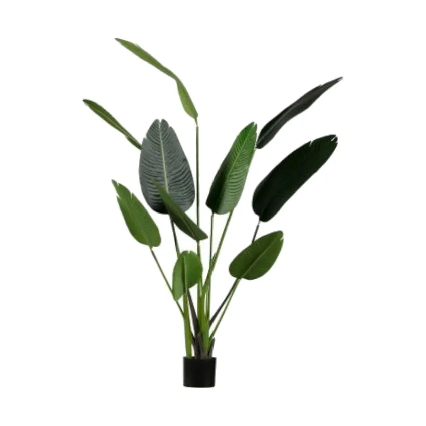 Woood Strelitzia Kunstpflanze Grün 164 cm