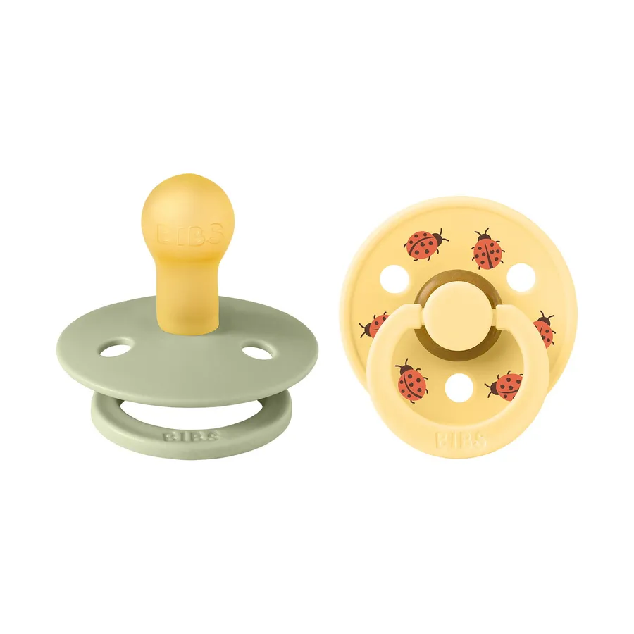 BiBs Studio Colour Fopspeen - Rond - 2 Stuks